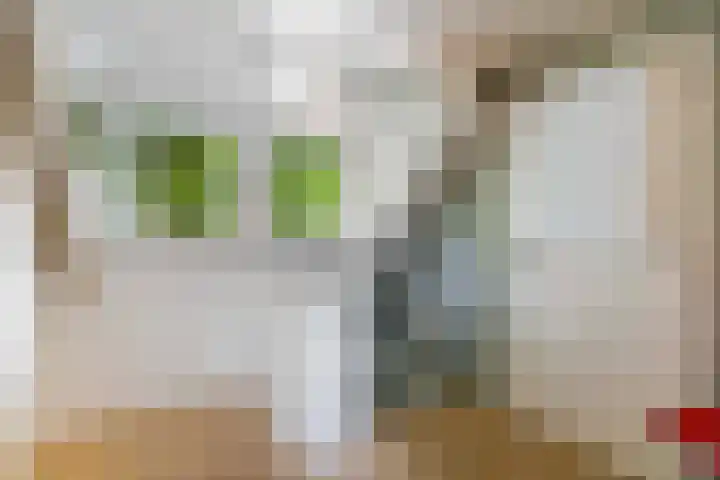 Asselsestraat 297 Apeldoorn thumbnail 31