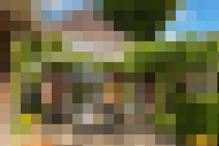 Asselsestraat 297 Apeldoorn thumbnail 36