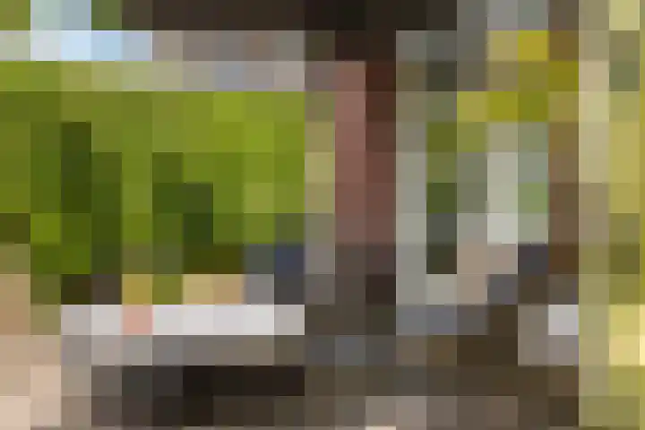 Asselsestraat 297 Apeldoorn thumbnail 37