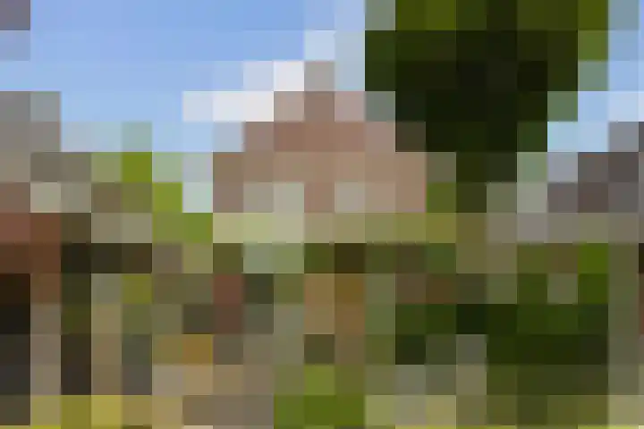 Asselsestraat 297 Apeldoorn thumbnail 45