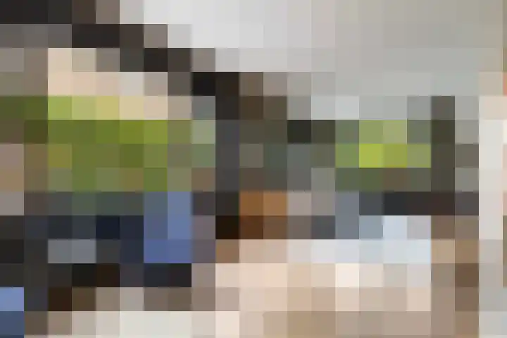 Asselsestraat 297 Apeldoorn thumbnail 6