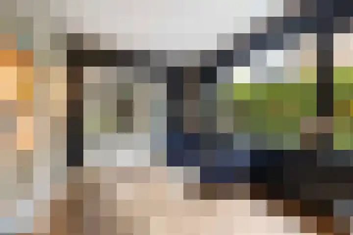 Asselsestraat 297 Apeldoorn thumbnail 7