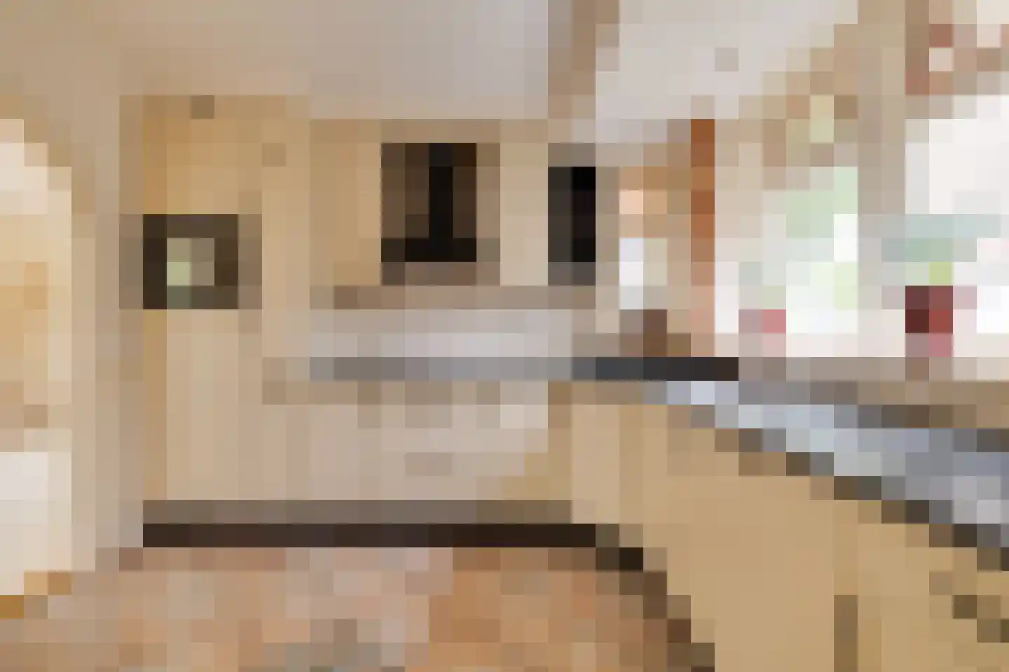 Asselsestraat 311 Apeldoorn thumbnail 12