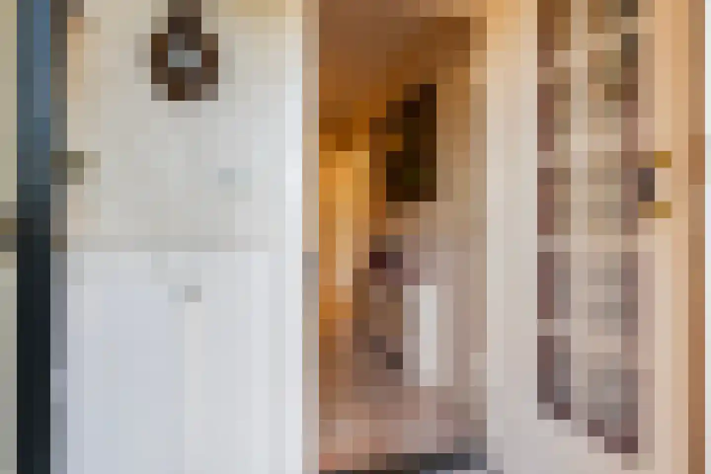Asselsestraat 311 Apeldoorn thumbnail 13