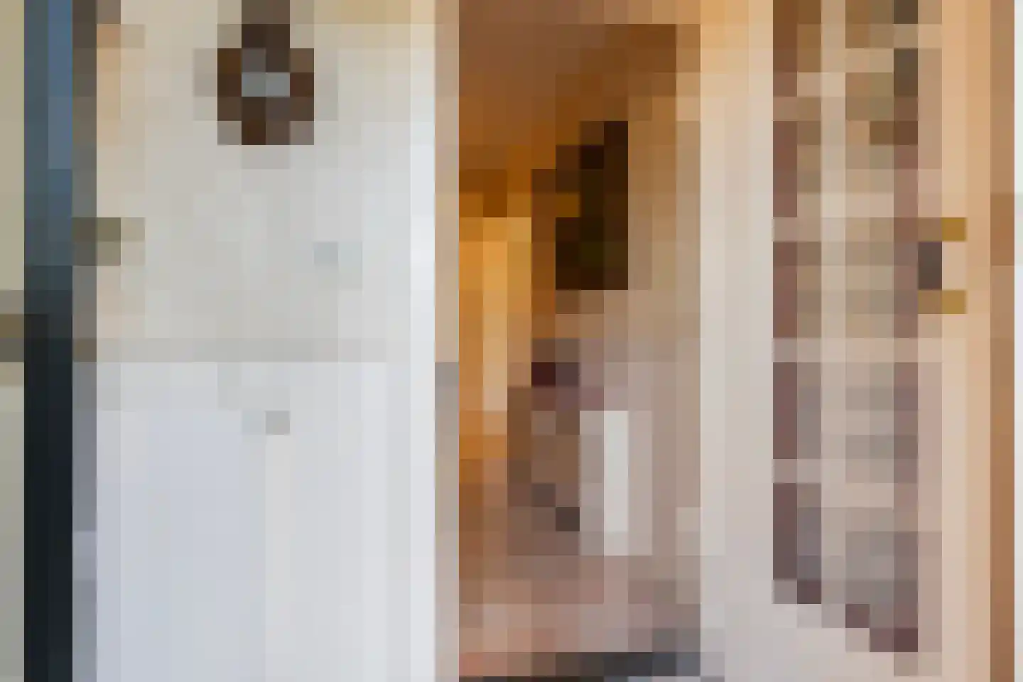 Asselsestraat 311 Apeldoorn thumbnail 13