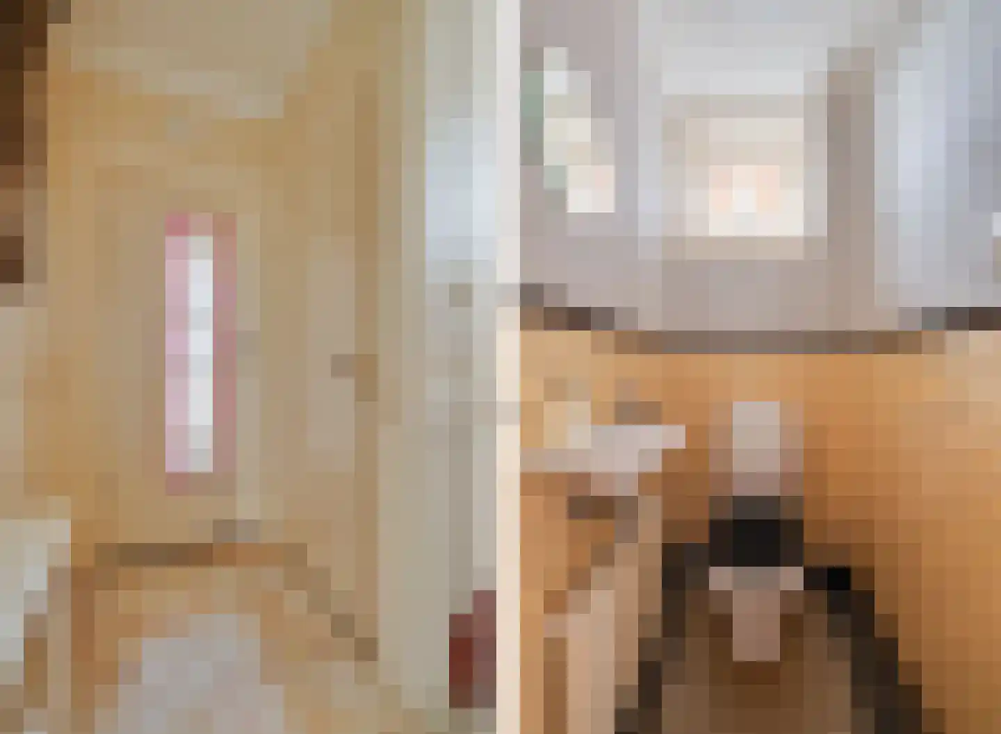 Asselsestraat 311 Apeldoorn thumbnail 15