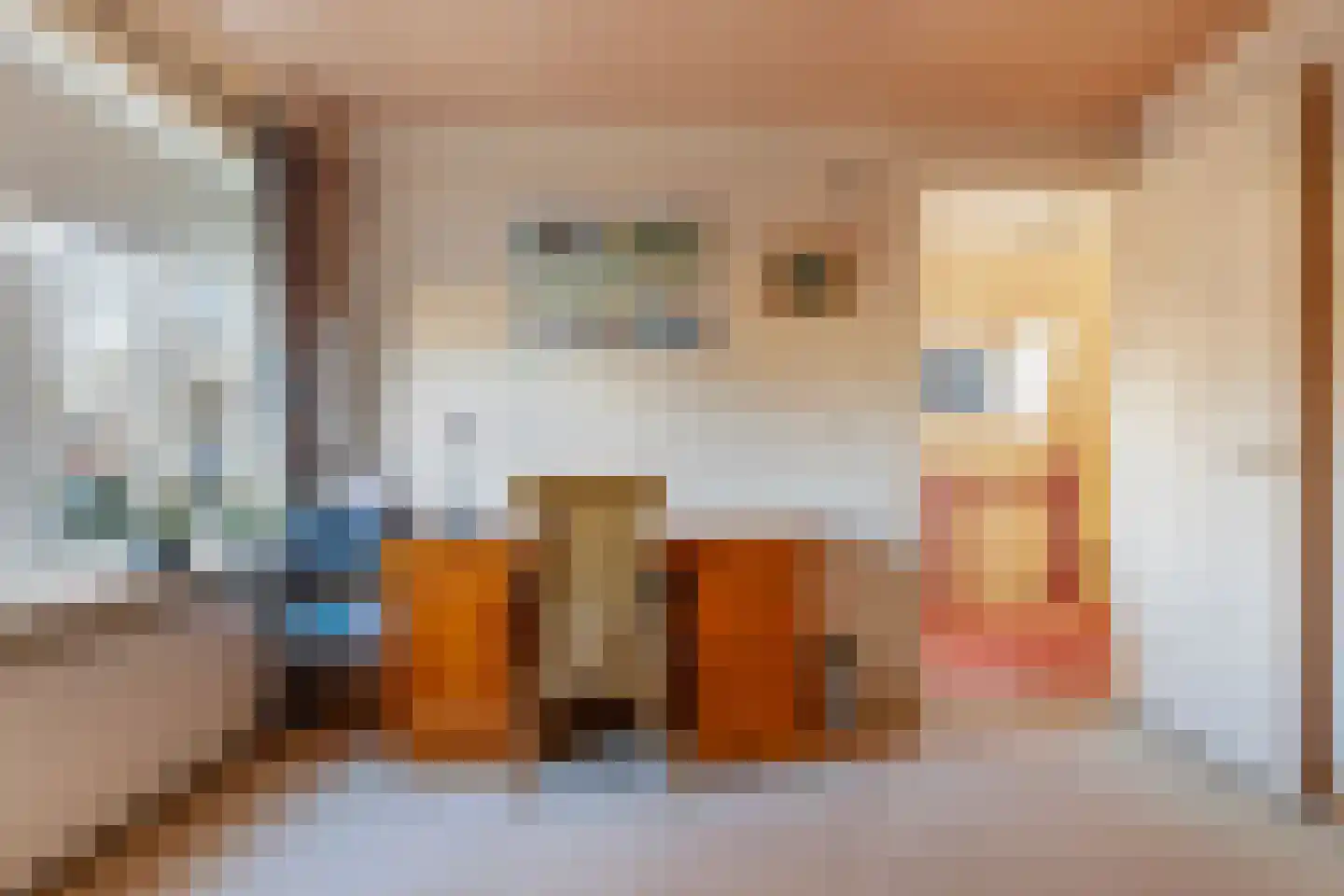 Asselsestraat 311 Apeldoorn thumbnail 19