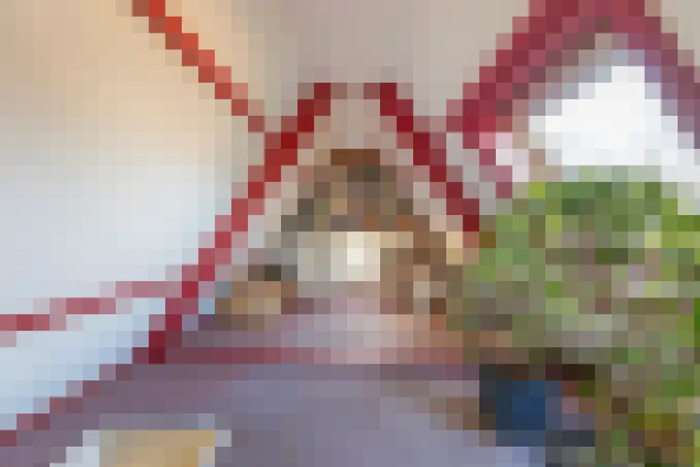 Asselsestraat 311 Apeldoorn thumbnail 31