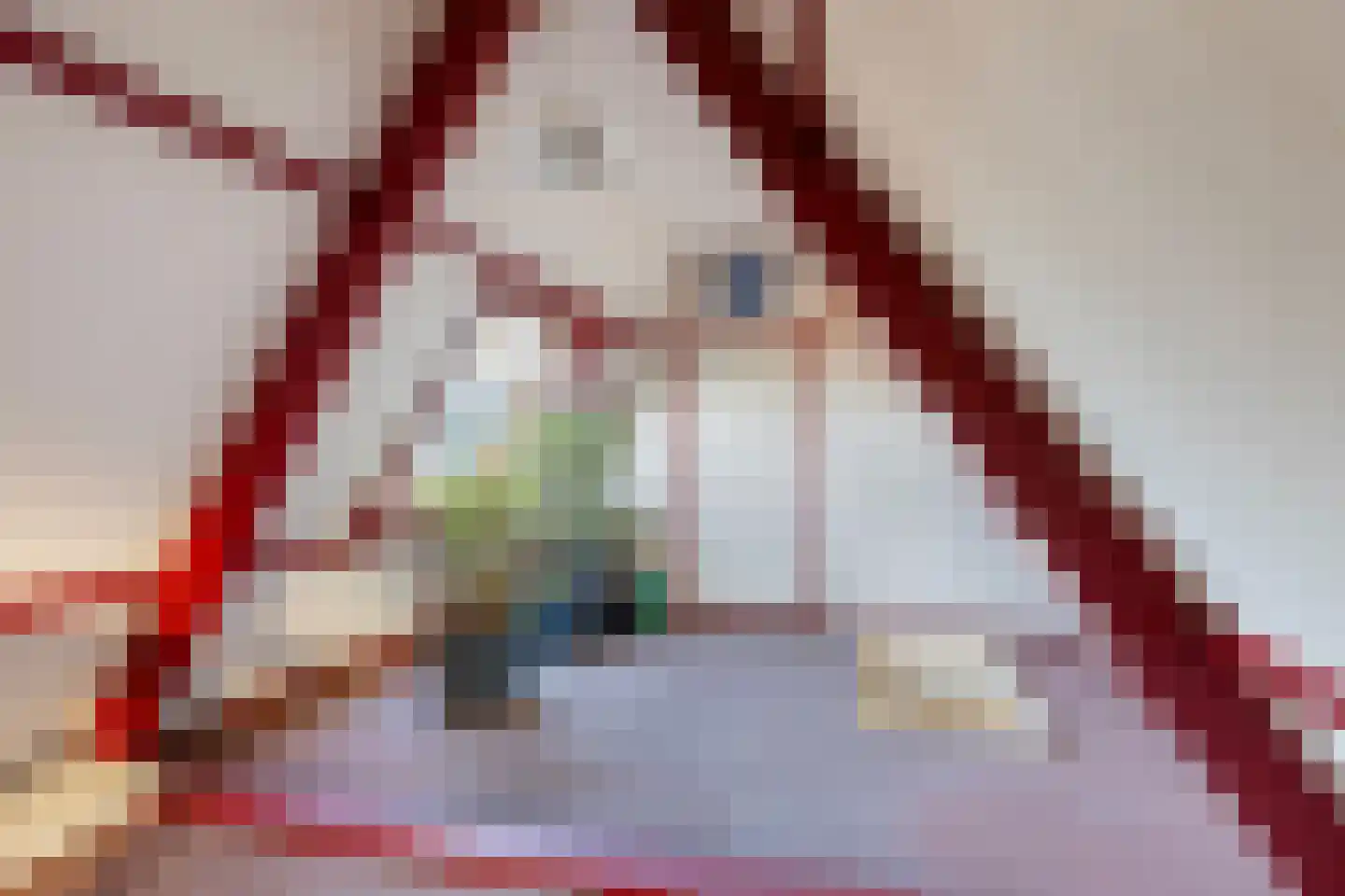 Asselsestraat 311 Apeldoorn thumbnail 32