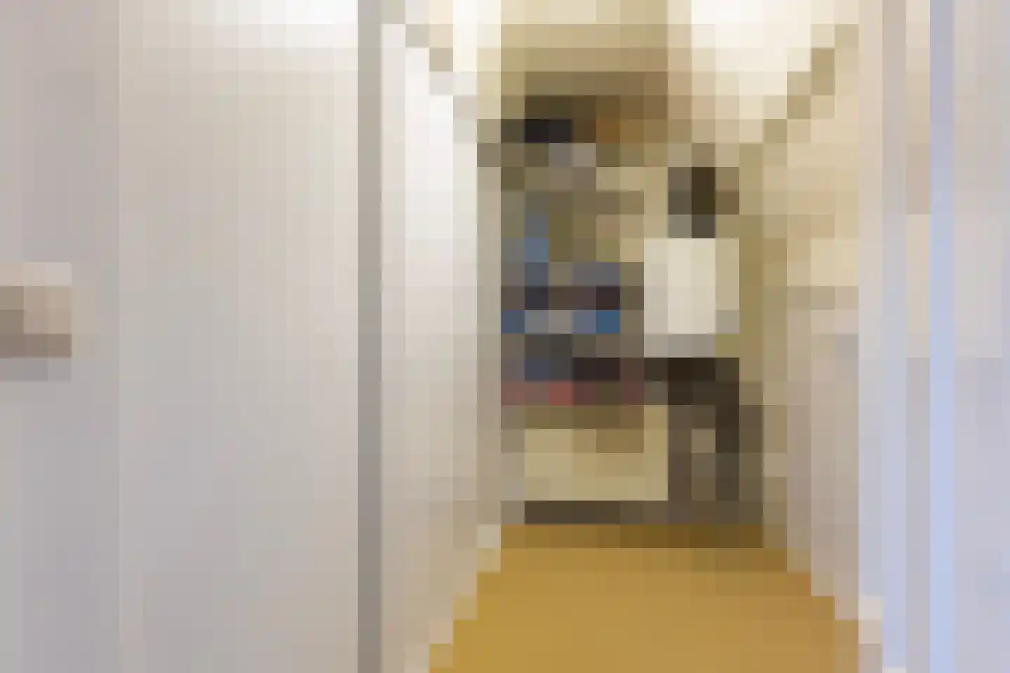 Asselsestraat 311 Apeldoorn thumbnail 33