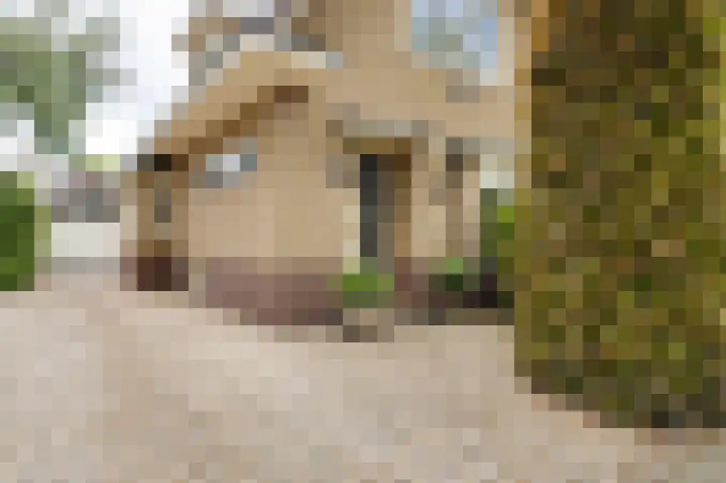 Asselsestraat 311 Apeldoorn thumbnail 37