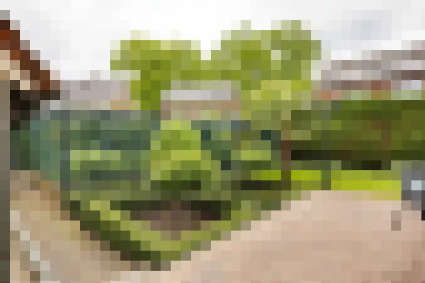Asselsestraat 311 Apeldoorn thumbnail 38