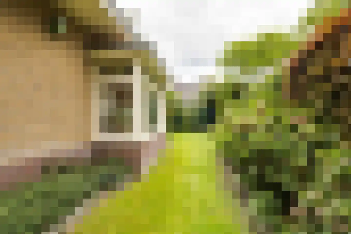 Asselsestraat 311 Apeldoorn thumbnail 39