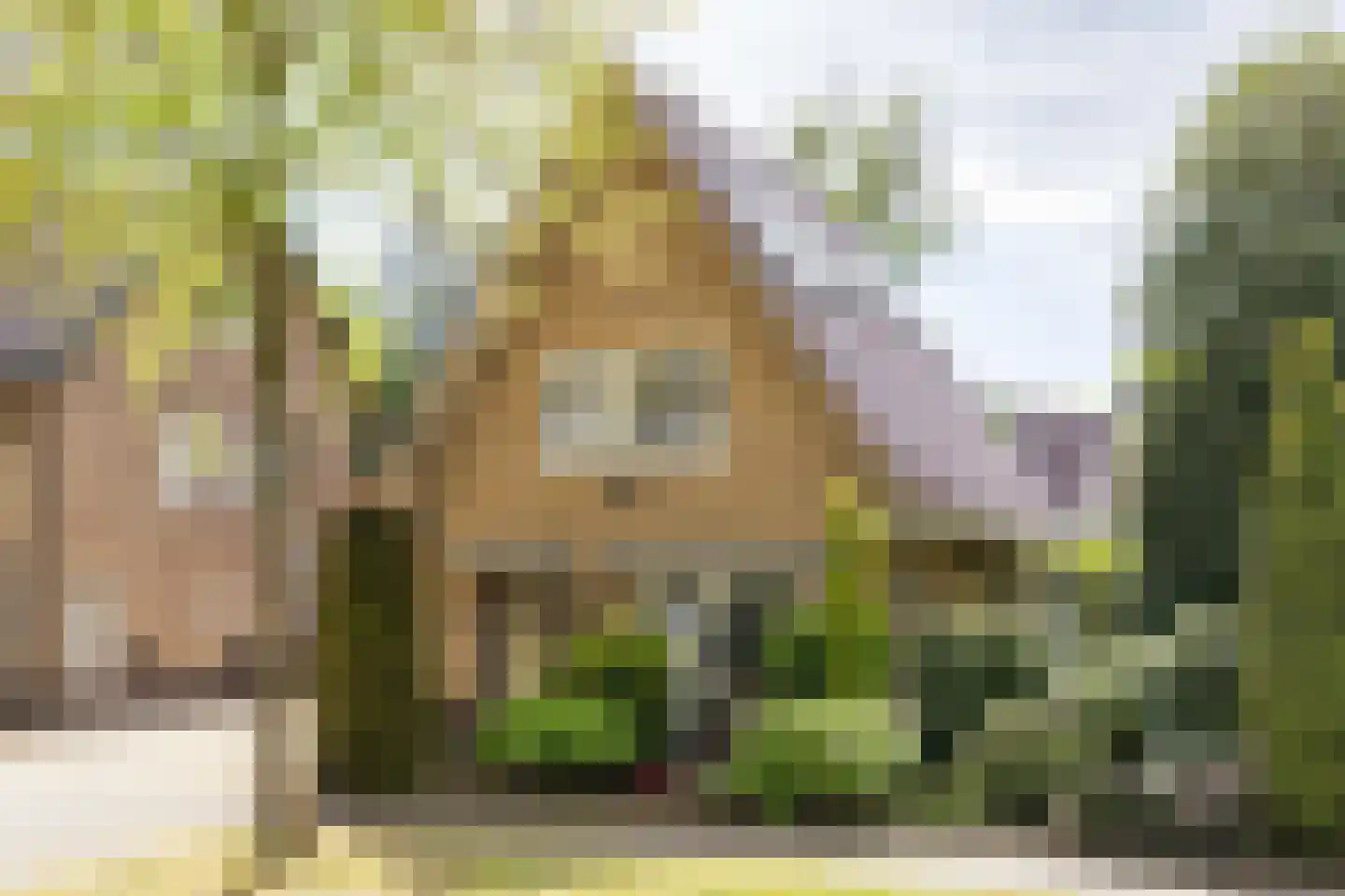 Asselsestraat 311 Apeldoorn thumbnail 39