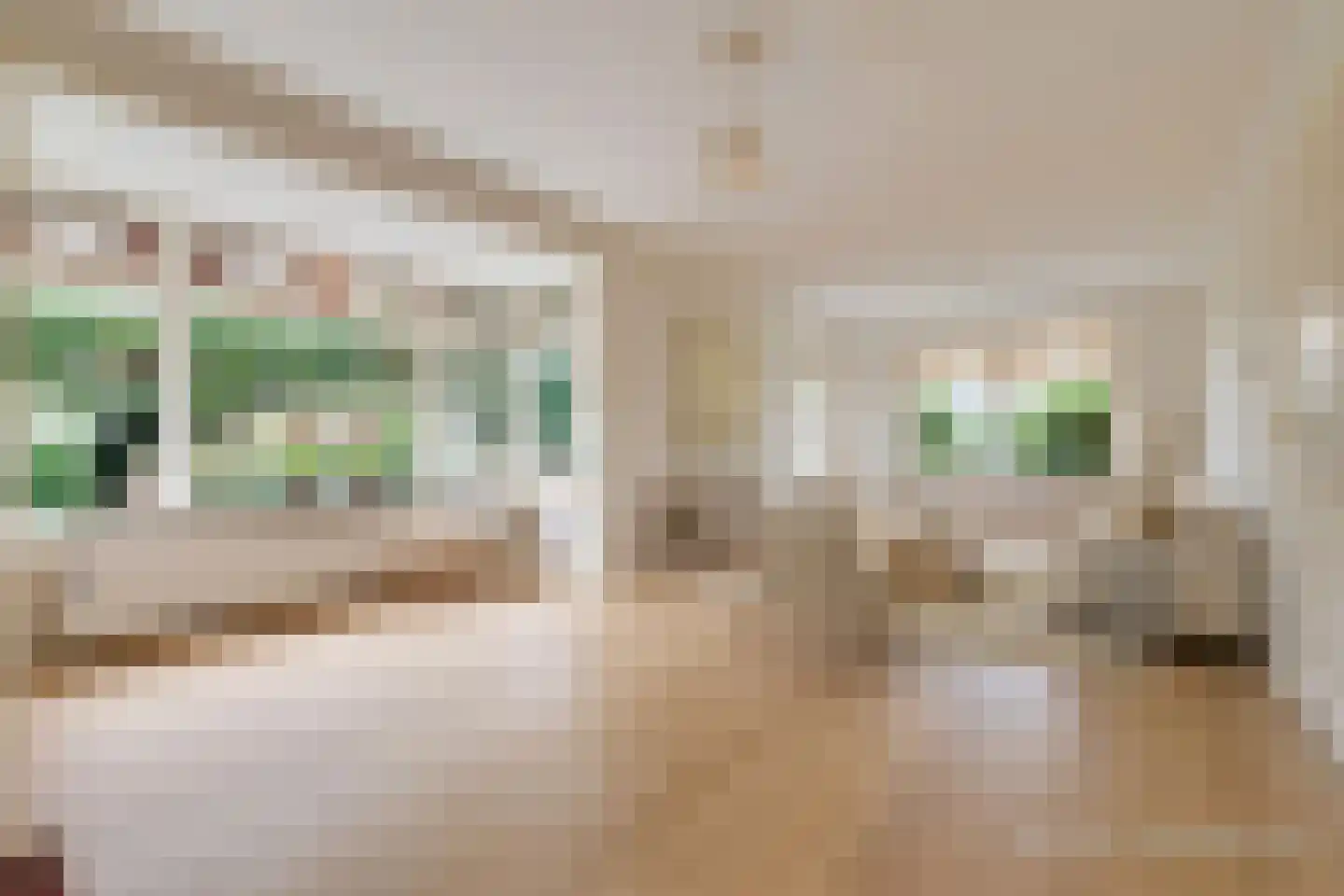Asselsestraat 311 Apeldoorn thumbnail 4