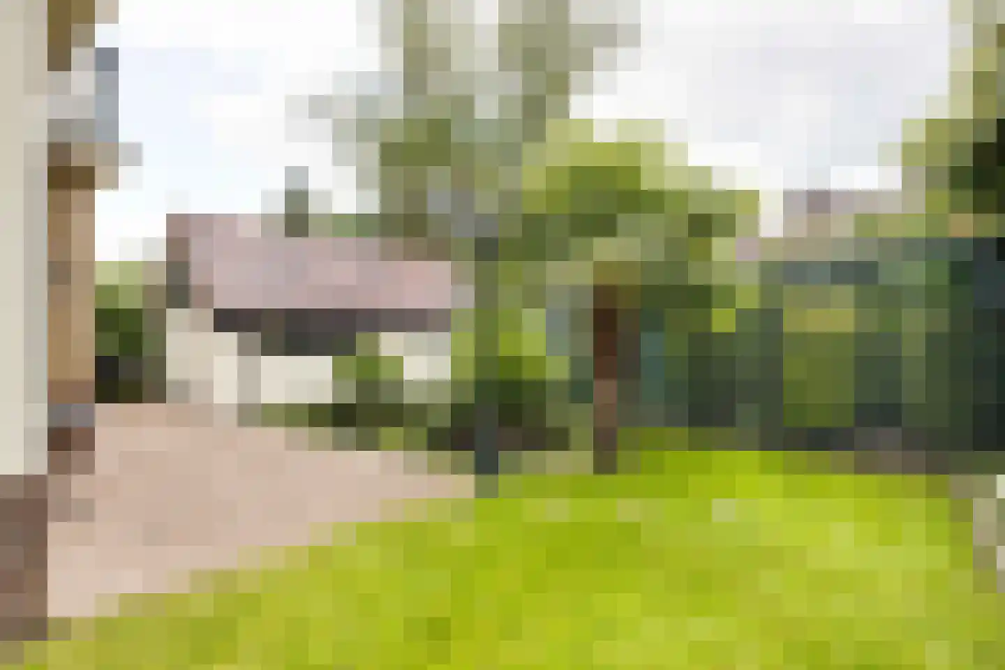 Asselsestraat 311 Apeldoorn thumbnail 40