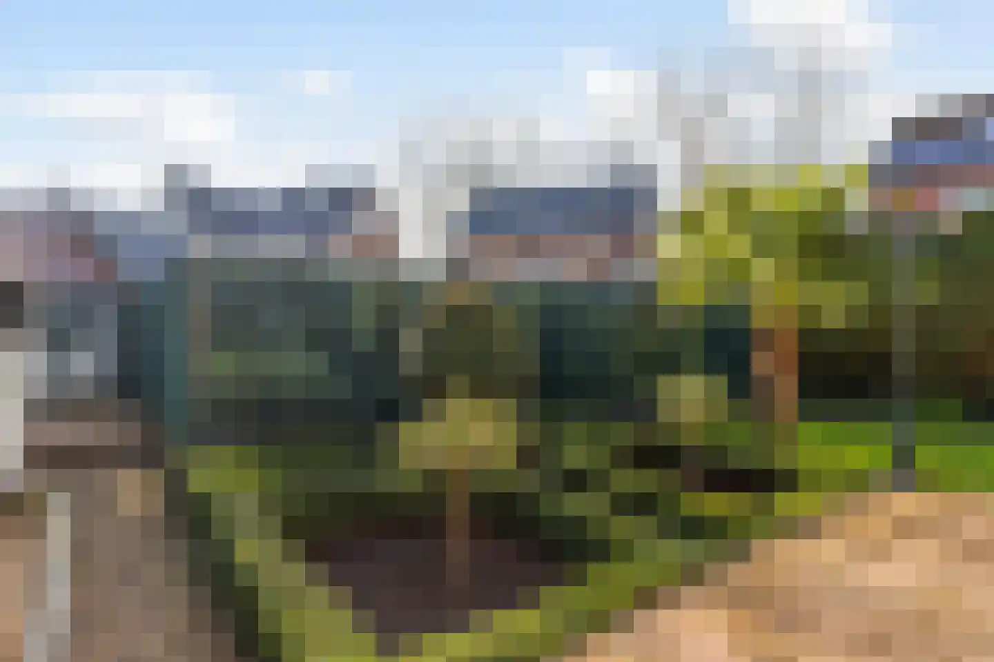 Asselsestraat 311 Apeldoorn thumbnail 40