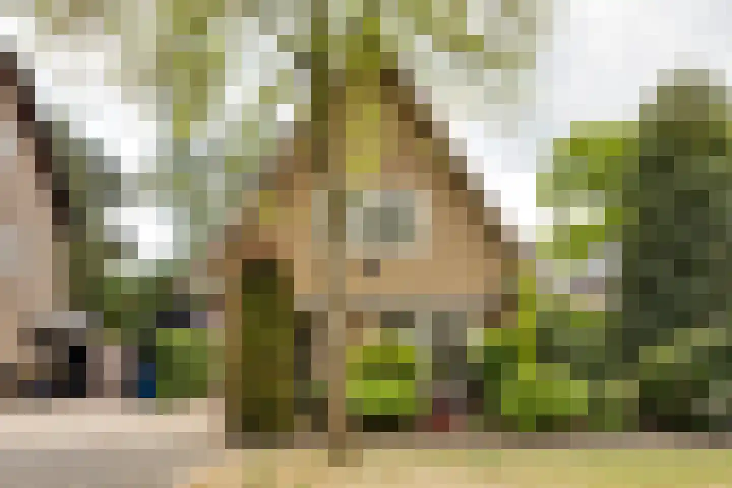 Asselsestraat 311 Apeldoorn thumbnail 43