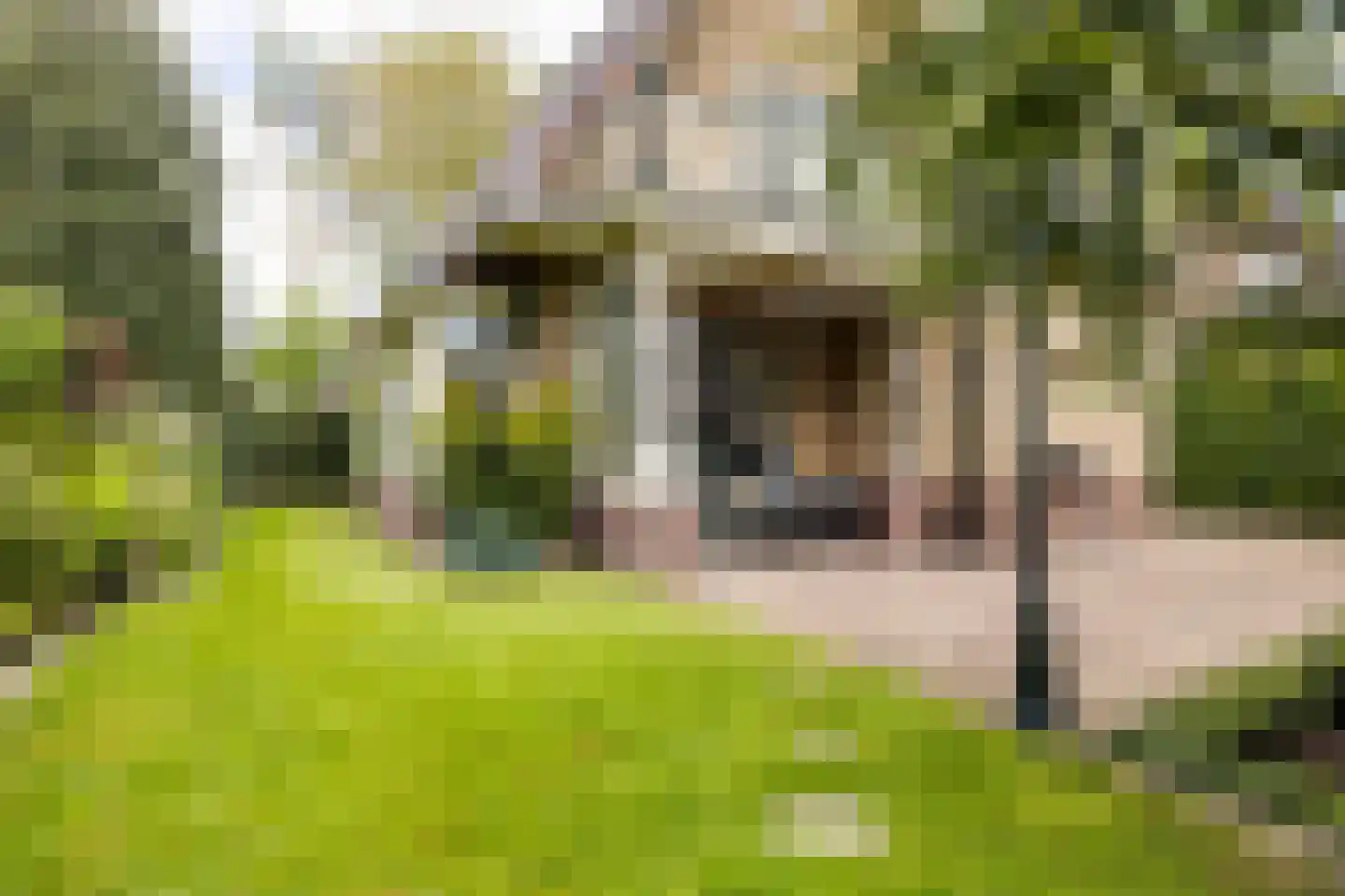 Asselsestraat 311 Apeldoorn thumbnail 44