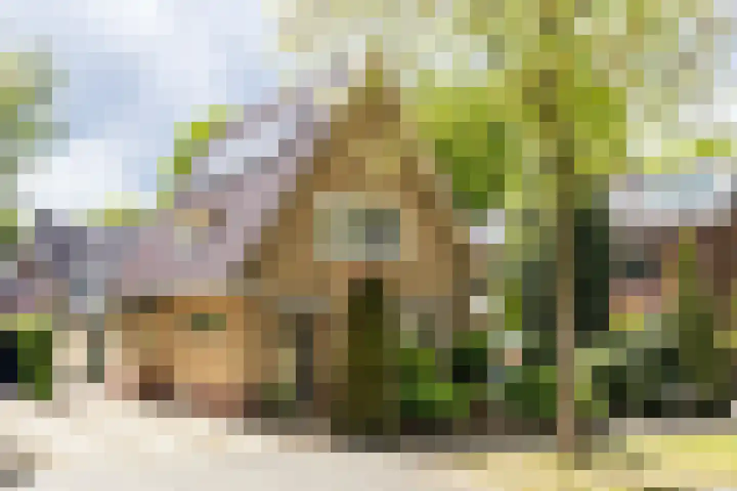 Asselsestraat 311 Apeldoorn thumbnail 44