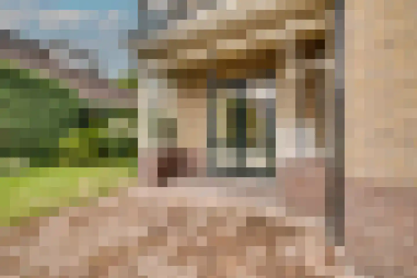 Asselsestraat 311 Apeldoorn thumbnail 45