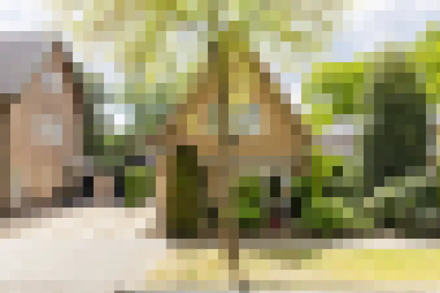 Asselsestraat 311 Apeldoorn thumbnail 45