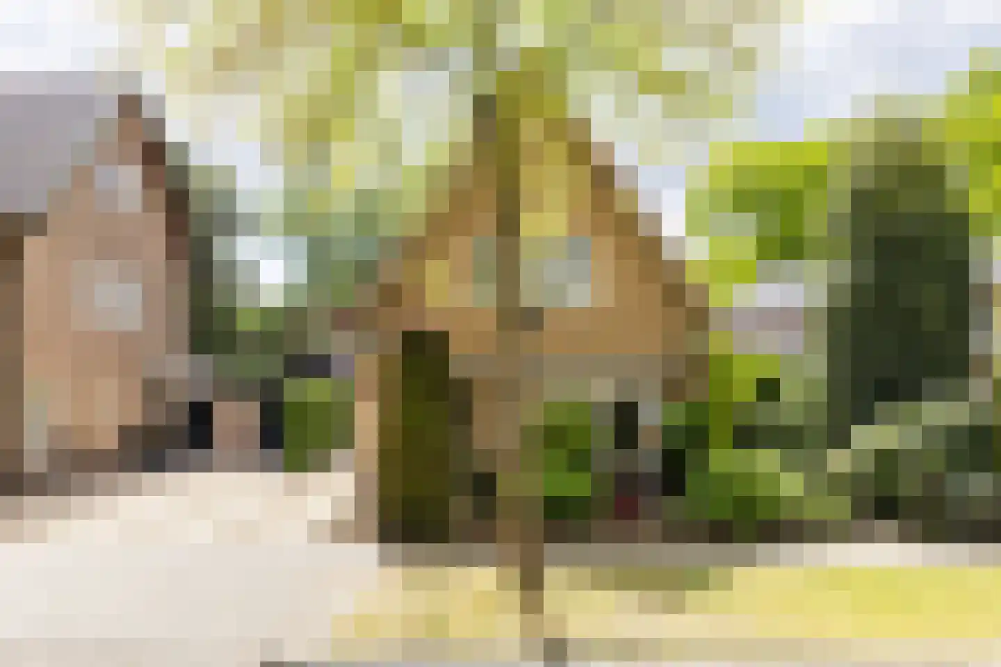 Asselsestraat 311 Apeldoorn thumbnail 47
