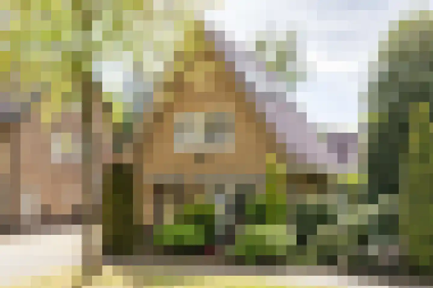 Asselsestraat 311 Apeldoorn thumbnail 48