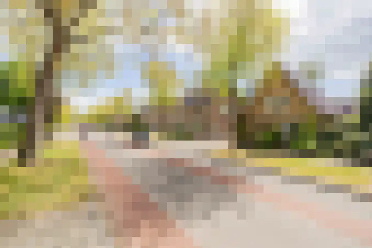 Asselsestraat 311 Apeldoorn thumbnail 49
