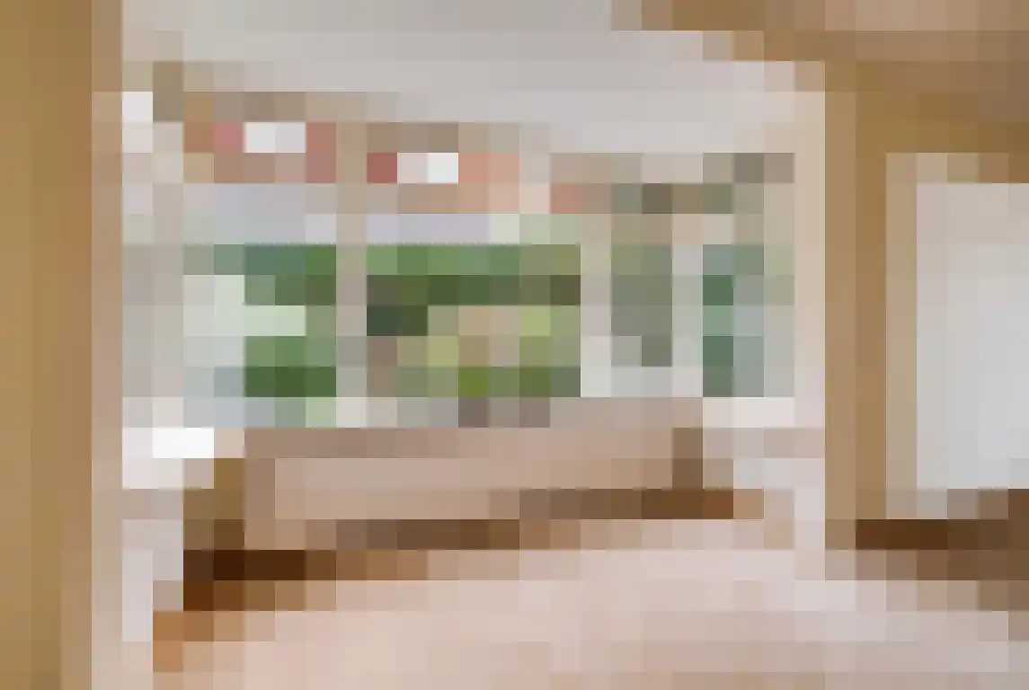 Asselsestraat 311 Apeldoorn thumbnail 5