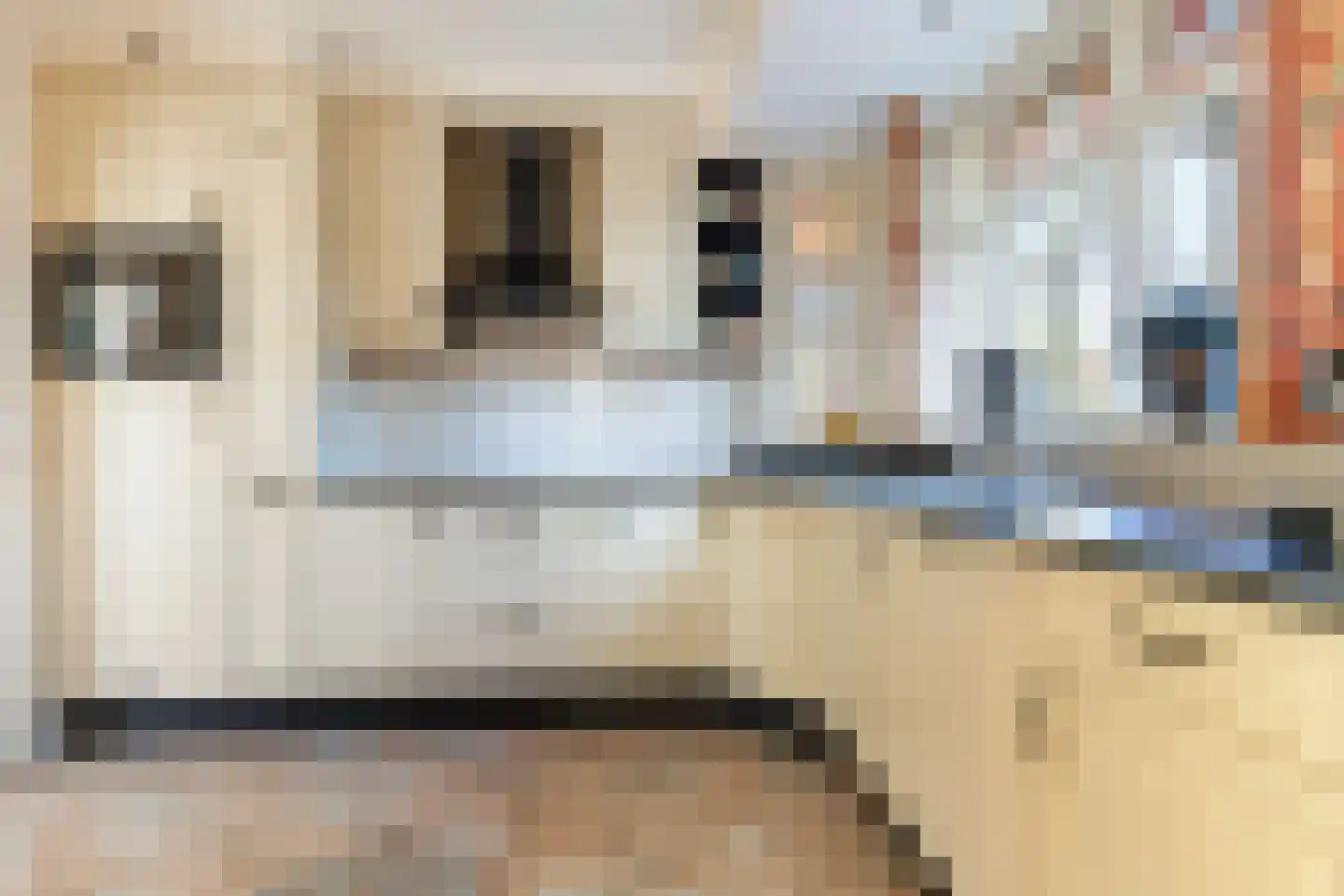 Asselsestraat 311 Apeldoorn thumbnail 8