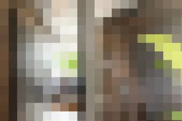Asselsestraat 320 Apeldoorn thumbnail 36