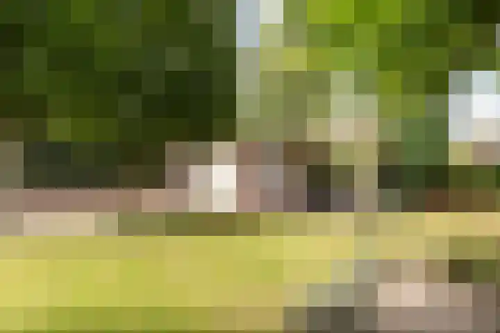 Asselsestraat 320 Apeldoorn thumbnail 54
