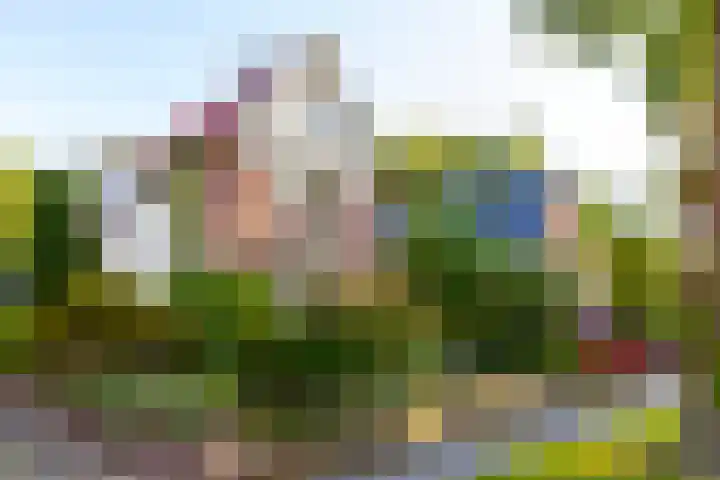 Asselsestraat 322 Apeldoorn thumbnail 31