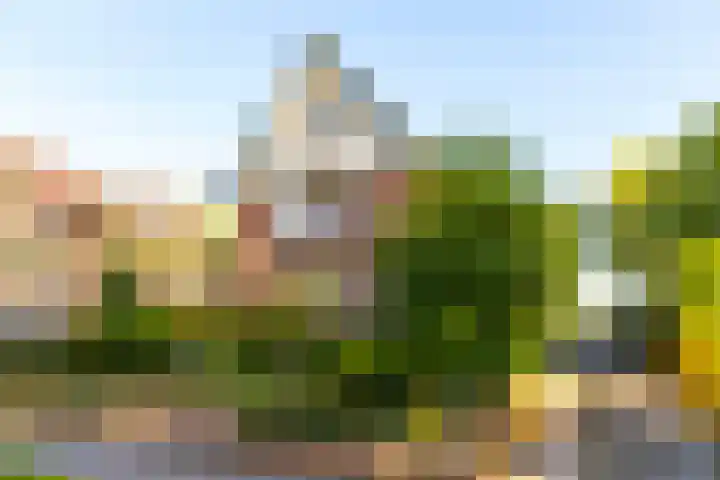 Asselsestraat 322 Apeldoorn thumbnail 32