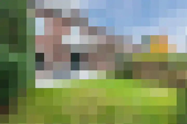 Asselsestraat 333 Apeldoorn thumbnail 33