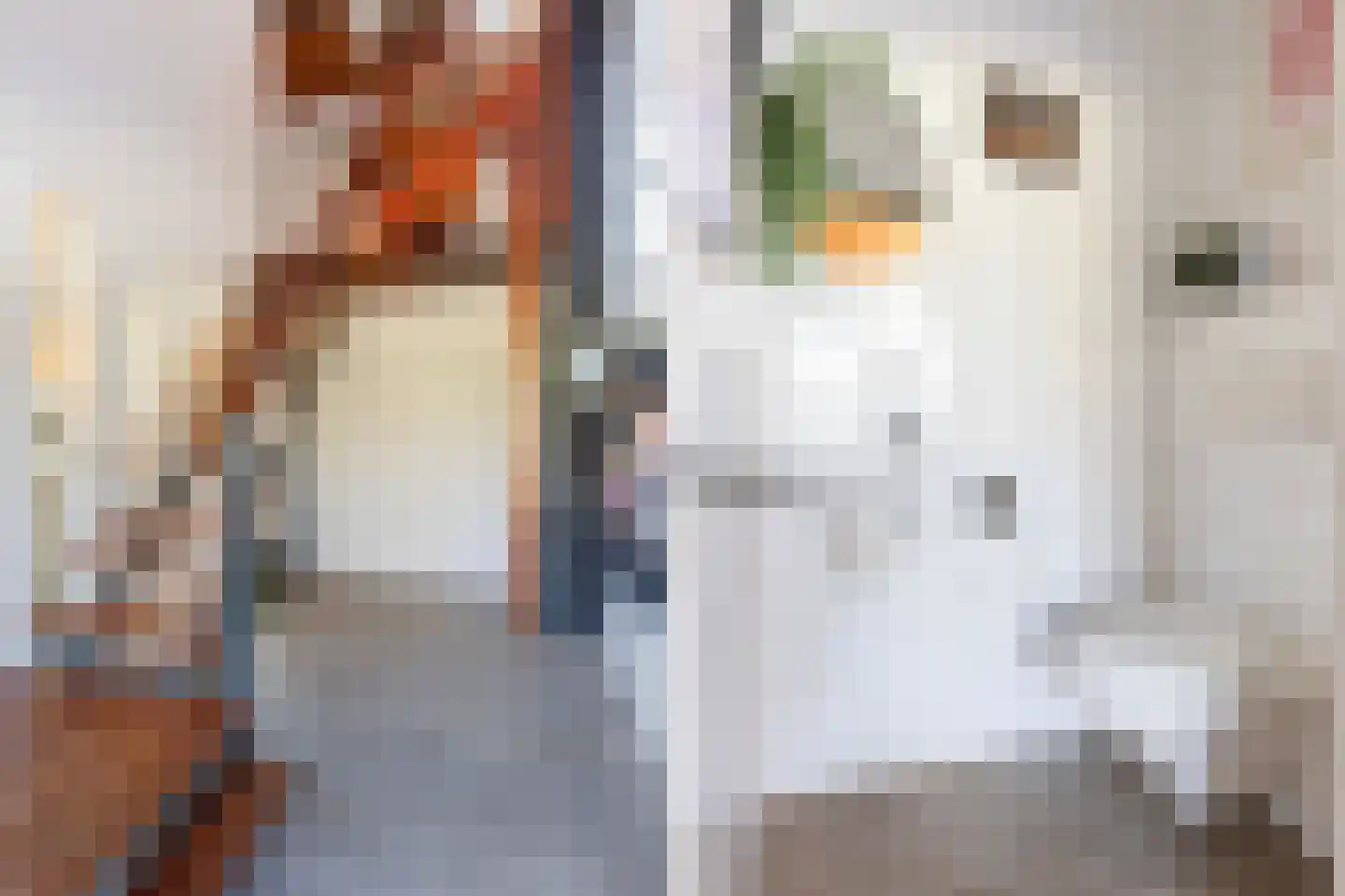 Asselsestraat 361 Apeldoorn thumbnail 15