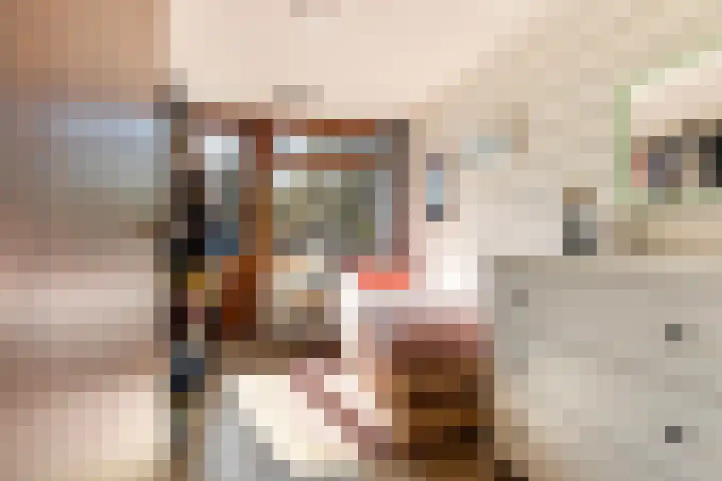 Asselsestraat 361 Apeldoorn thumbnail 19