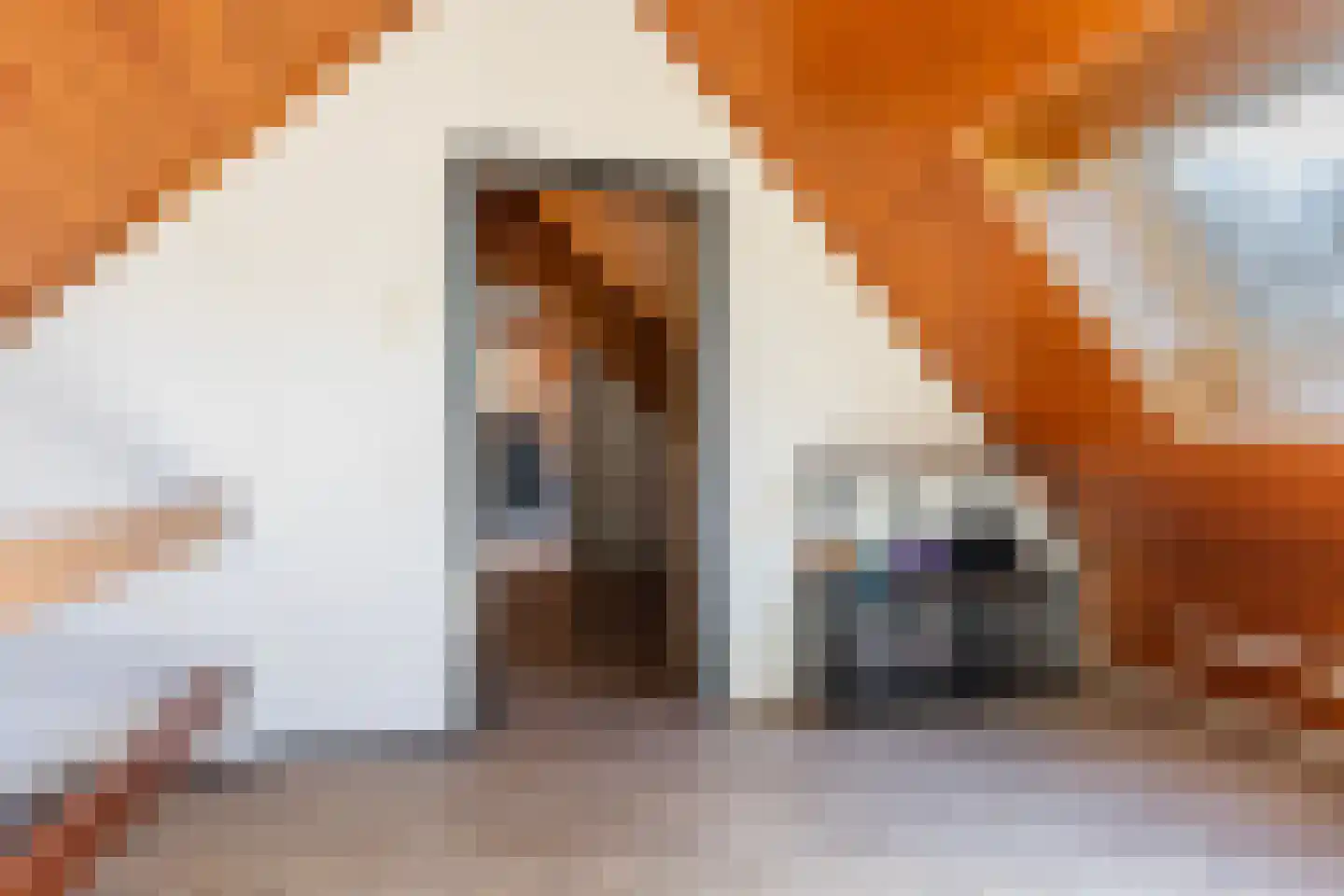Asselsestraat 361 Apeldoorn thumbnail 32