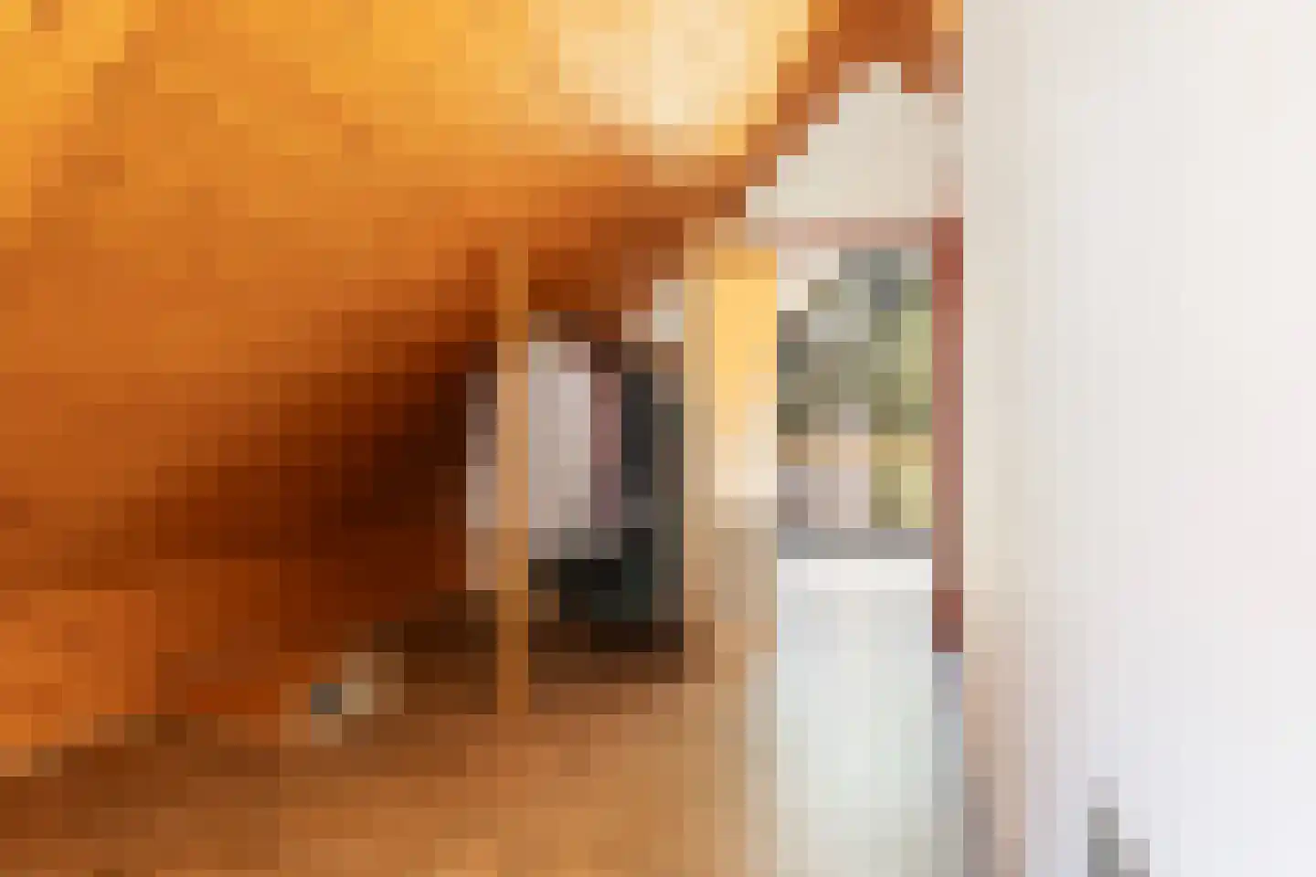 Asselsestraat 361 Apeldoorn thumbnail 33