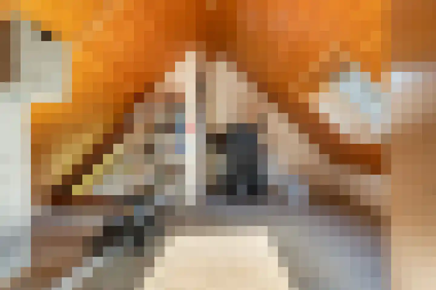 Asselsestraat 361 Apeldoorn thumbnail 34