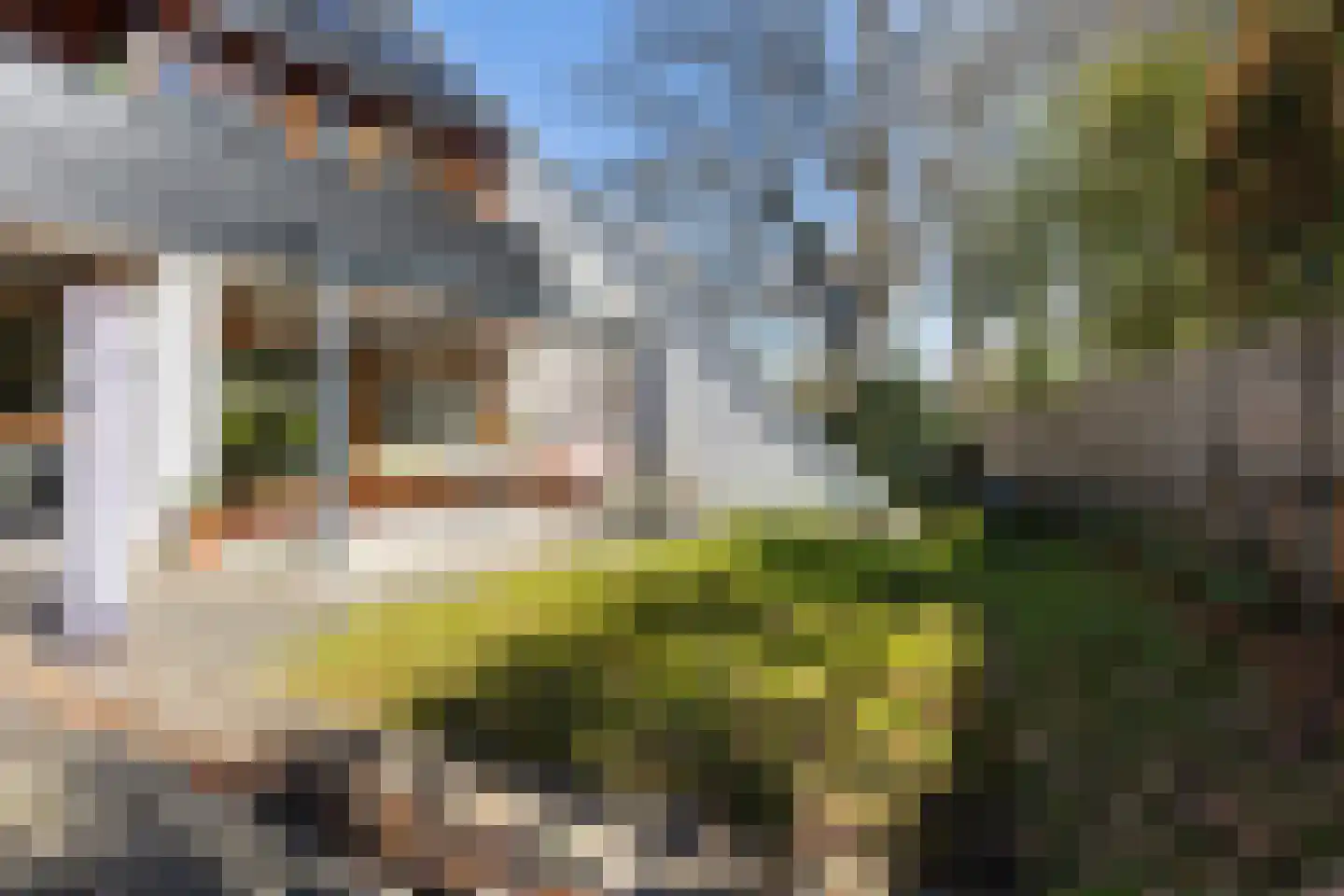 Asselsestraat 361 Apeldoorn thumbnail 36