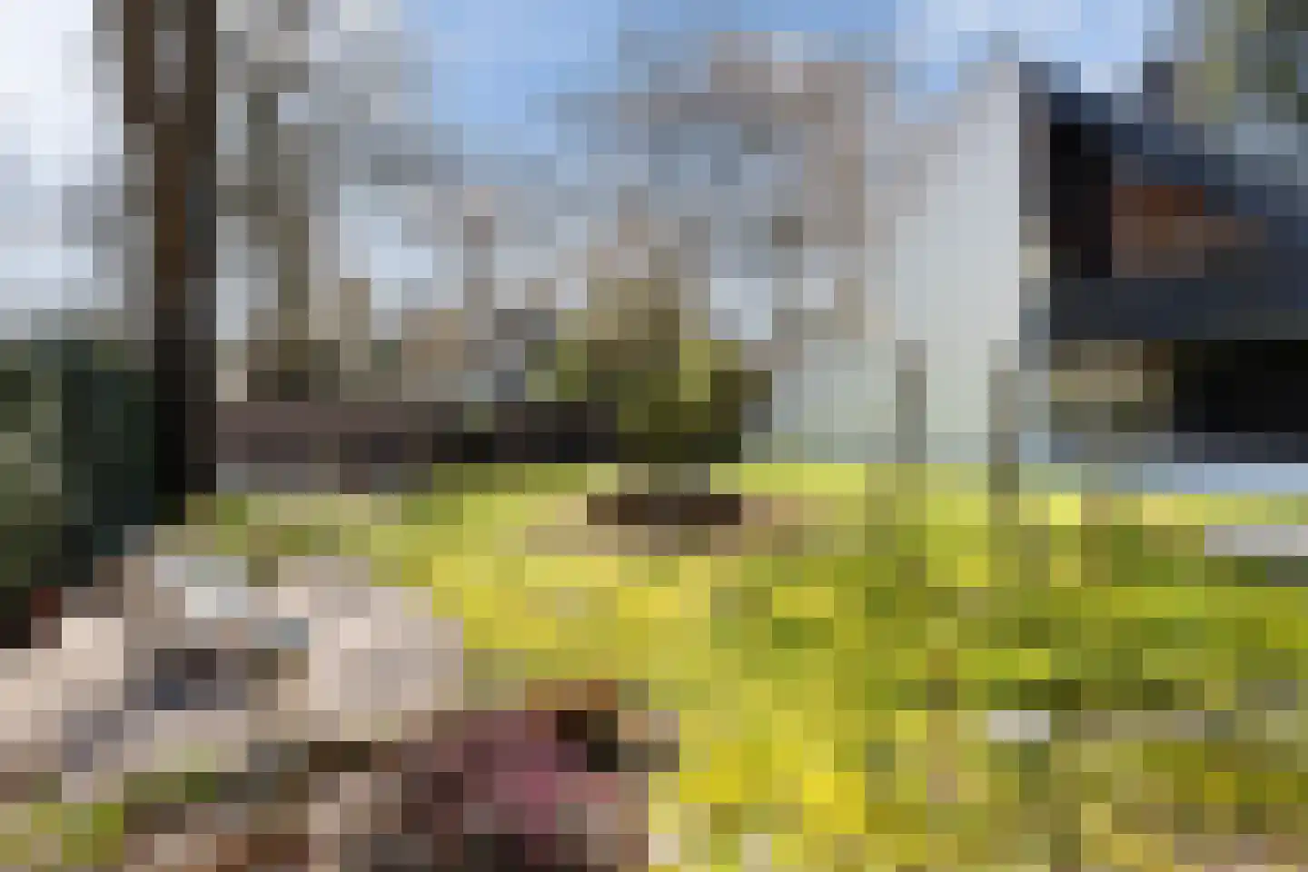 Asselsestraat 361 Apeldoorn thumbnail 38
