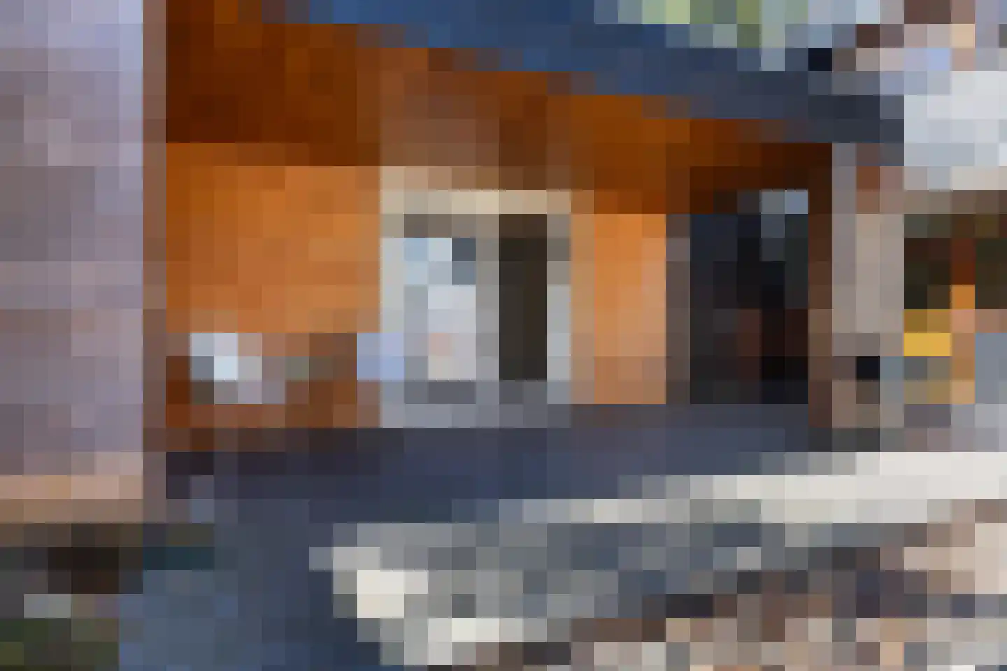 Asselsestraat 361 Apeldoorn thumbnail 40