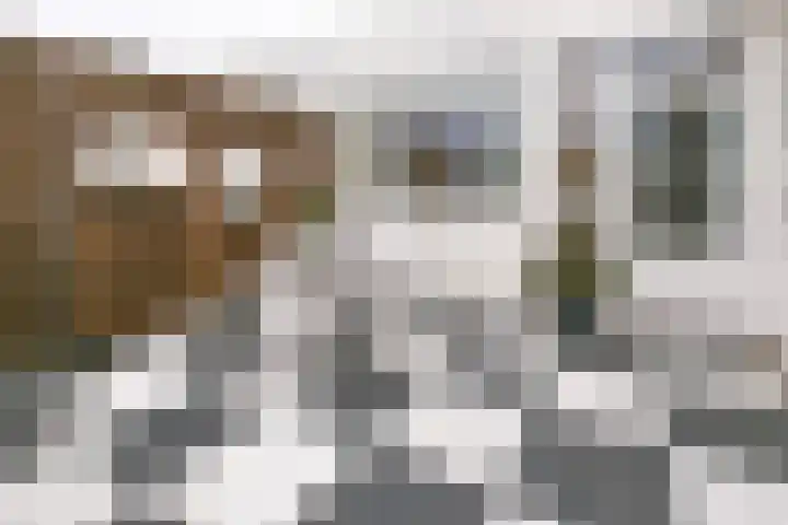 Asselsestraat 80 Apeldoorn thumbnail 25