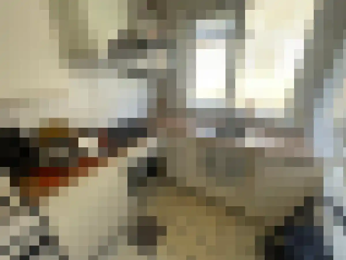 Asselsestraat Apeldoorn thumbnail 4