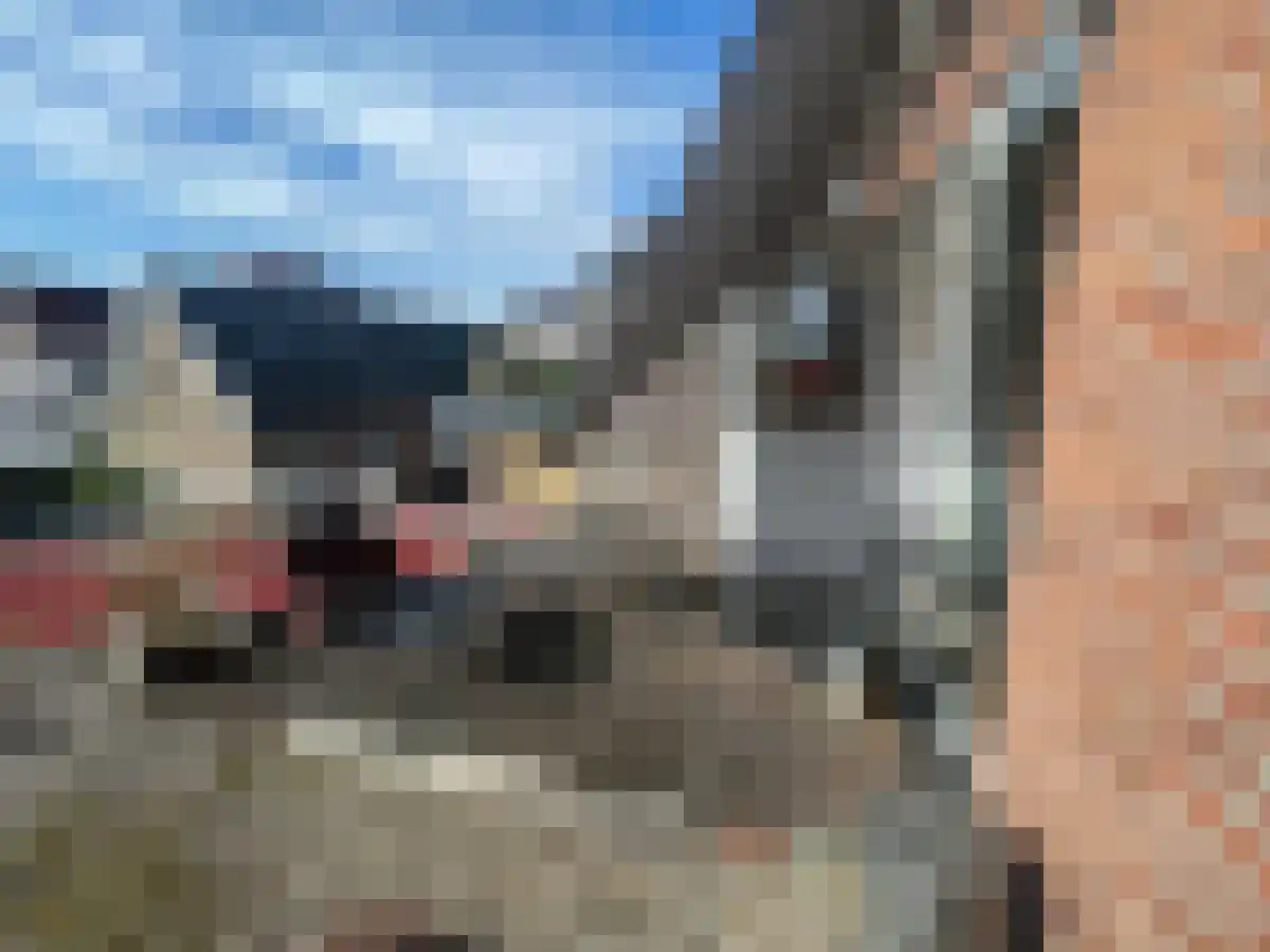 Asselsestraat Apeldoorn thumbnail 5