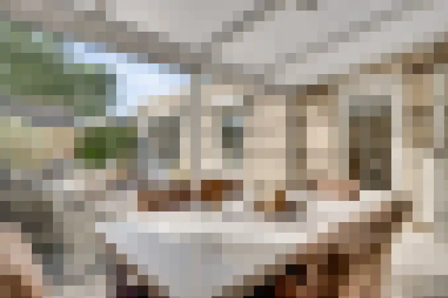 Asseltstraat 5 Weert thumbnail 26