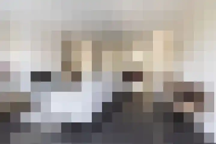 Assendelfterlaan 11 Barneveld thumbnail 12