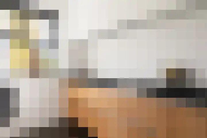 Assendelfterlaan 11 Barneveld thumbnail 17